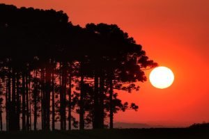 onda-de-calor-parana