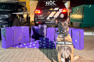 operacao-policial006447220202606081421.png