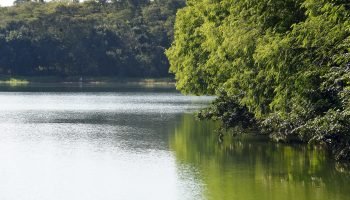 IAT emite 2.548 outorgas de uso da água no Paraná em 2025