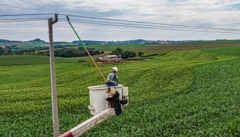 Paraná Trifásico amplia agroindústria com 25 mil km de redes rurais no Paraná