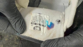 pf-encontra-cocaina-ate-nos-sapatos-de-passageiro-que-embarcaria-para-madri-6a9978b7748f5