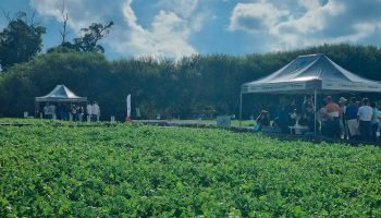Foto: Governo do Paraná