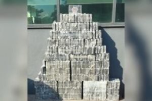 piramide-coocaina-300x169-1