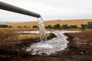 Foto: Governo do Paraná