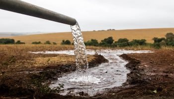 Foto: Governo do Paraná