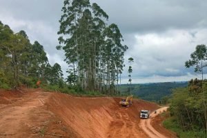 Foto: Governo do Paraná