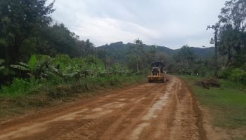 Edital de estudos ambientais e anteprojeto da Estrada de Guaraqueçaba tem 1º resultado