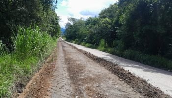 Licitação de EIA/Rima e anteprojeto da pavimentação da PR-405 é disputada por três empresas