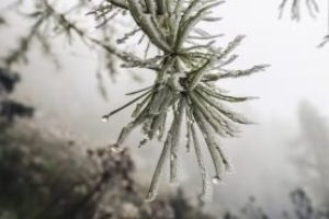 previsao-do-tempo-com-geada-declinio-de-temperatura-e-chuvas-intensas-300x184-1