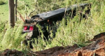 resolucao-fotos-site-73006727860202609201801