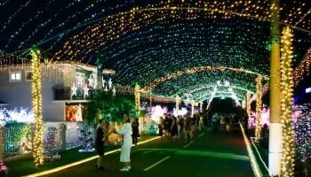 Rua Iluminada da Família Moletta permanece aberta em Curitiba até 4 de janeiro; confira horários