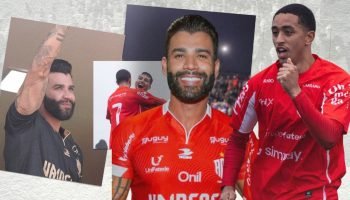 saf-gusttavo-lima-paranavai
