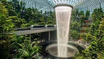 Foto: Terra Brasil Notícias