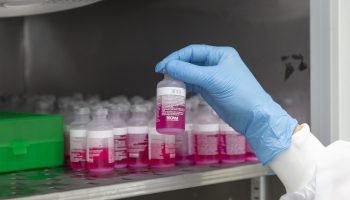 Tecpar e UFPR unem esforços para aprimorar produção de vacina antirrábica veterinária