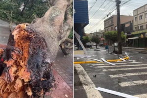 temporal-apucarana-criancas006693130202608300901