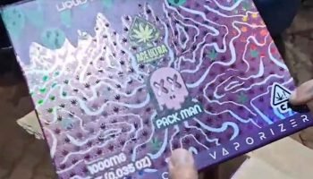 vapers-oleo-cannabis-foz-do-iguacu