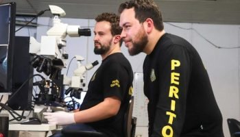 Dia do Perito: investimentos em ciência garantem investigações criminais rigorosas