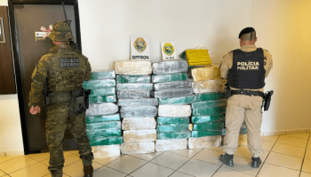 PMPR Apreende Mais de 700 kg de Maconha e Recupera Caminhonete Clonada em Umuarama
