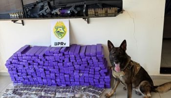 PMPR apreende 210 quilos de drogas e quatro armas em Iporã
