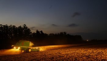 Paraná amplia período de plantio da soja para produção de sementes