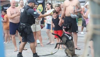 Cães da Polícia Penal reforçam segurança no litoral durante o Verão Maior Paraná