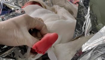 Helicóptero Arcanjo 01 transporta recém-nascida no Verão Maior Paraná