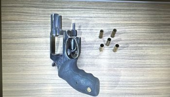 Foto: Governo do Paraná