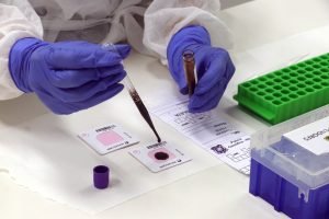 Foto: Governo do Paraná