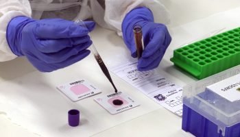 Foto: Governo do Paraná