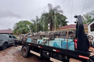 Foto: Governo do Paraná