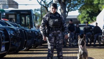 Foto: Governo do Paraná